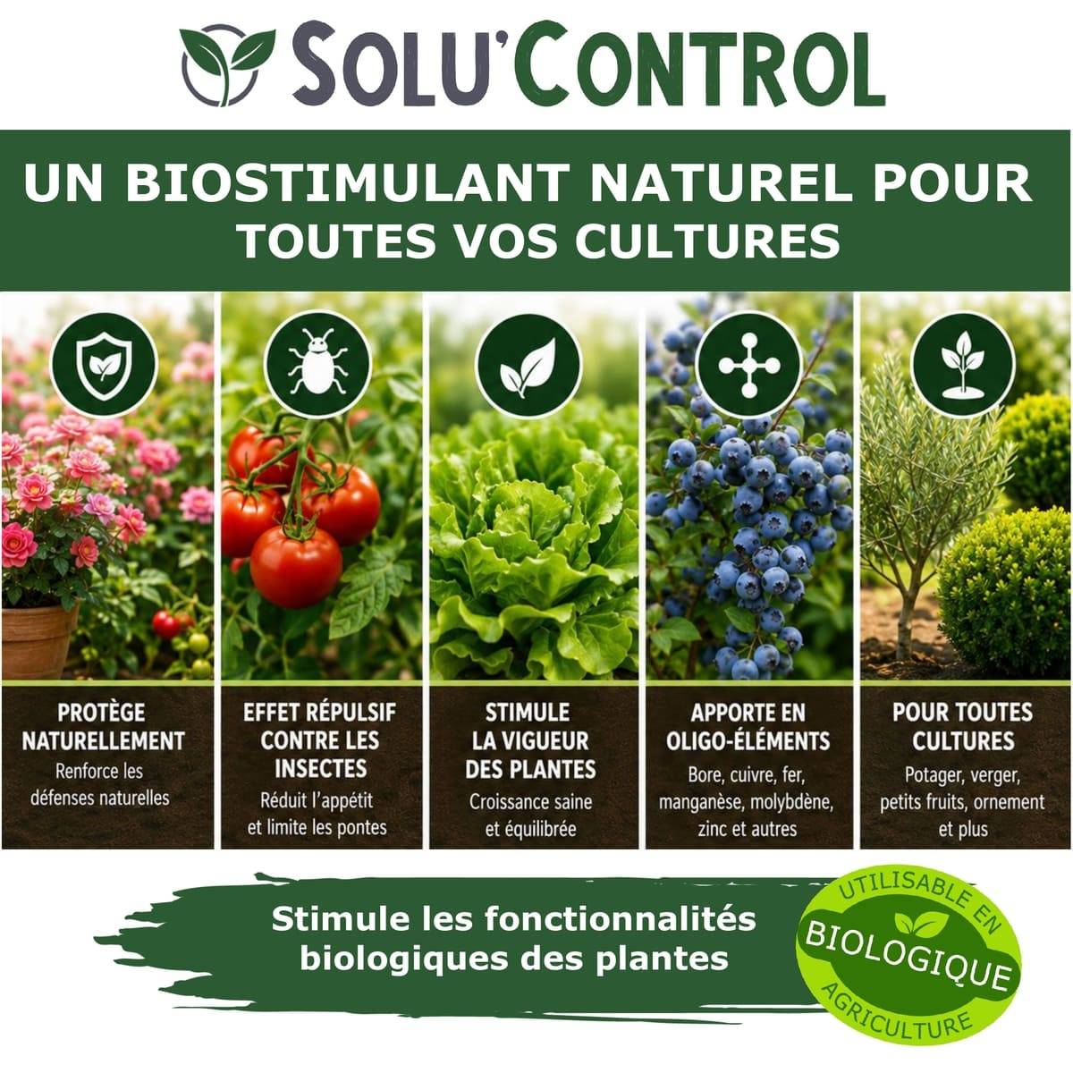 Tout pour les nuisibles - Biostimulant Concentré à l'Extrait d'Ail, d'Ortie et de Plantes Solu'Control Vége'Défense – 500 ml – Renforce les Défenses Naturelles des Plantes - Image 5