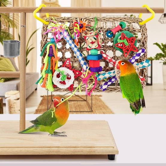 Jeux pour oiseaux - Matériel de forage, chewing, escalade - Image 2
