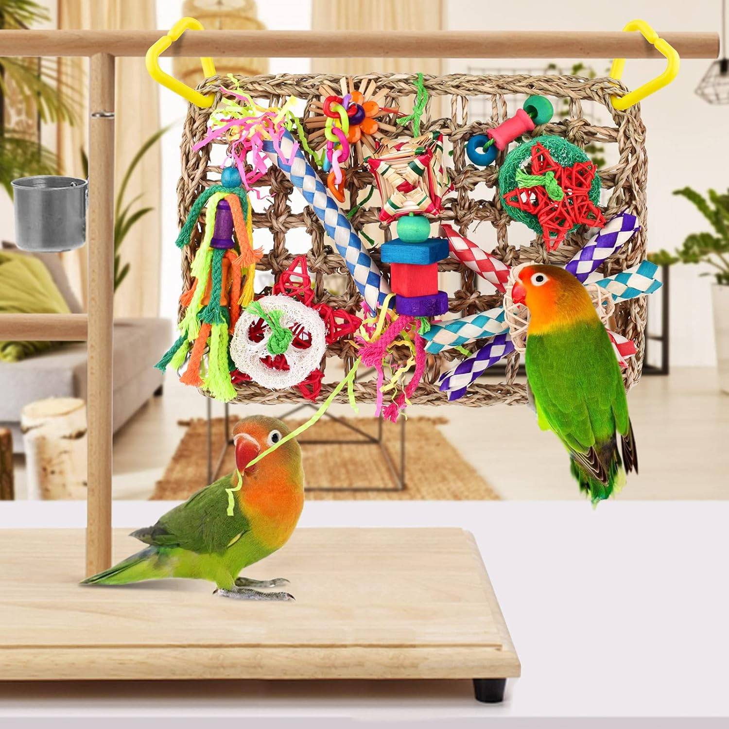 Jeux pour oiseaux - Matériel de forage, chewing, escalade - Image 2