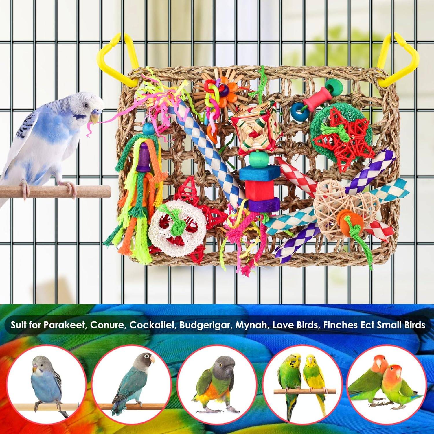 Jeux pour oiseaux - Matériel de forage, chewing, escalade - Image 4