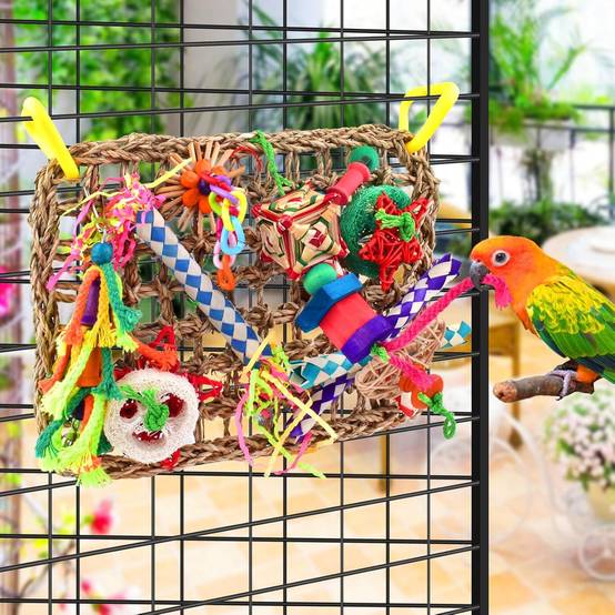 Jeux pour oiseaux - Matériel de forage, chewing, escalade - Image 6