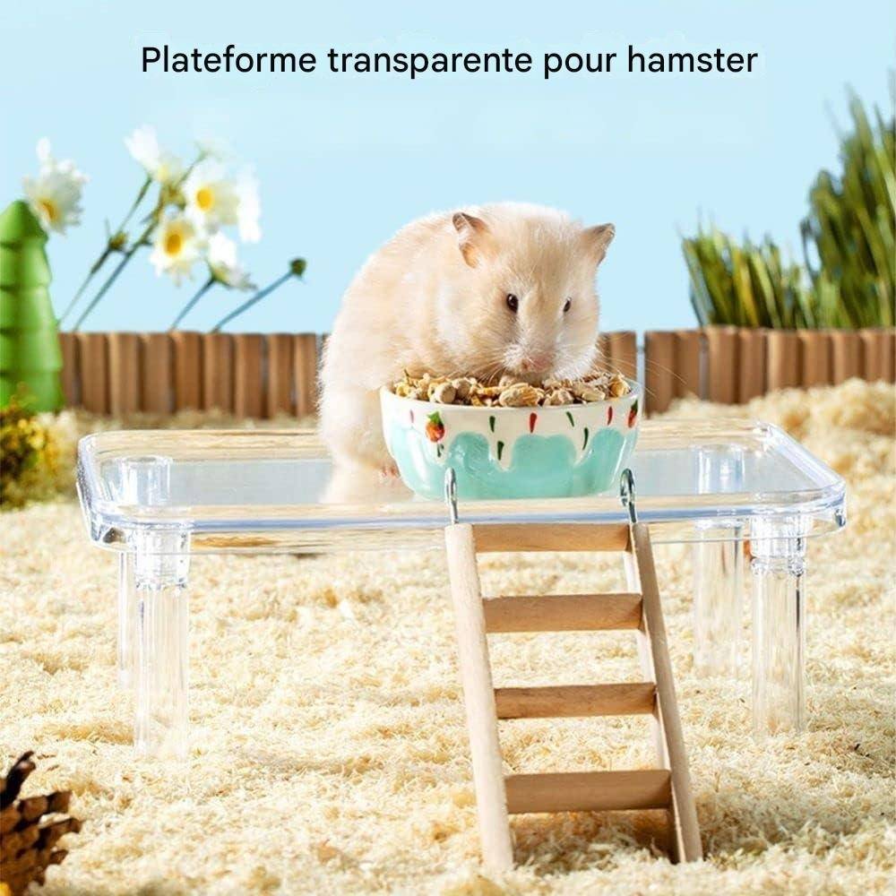DtopbuyAge - Plateformes pour hamster, cochon d'Inde, gerbille, chinchilla, rat, souris DtopbuyAge - Image 4