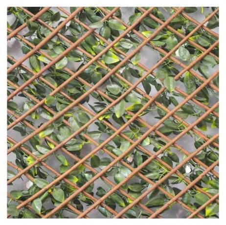 James Grass - France Green - Treillis extensible feuilles de jasmin fleuri, Long 12 m, Hauteur 1 m - Image 3
