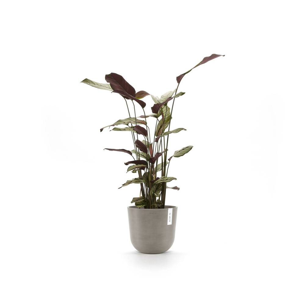 Ecopots - Pot Rond Oslo 25 Taupe - Ø 25 x H. 21,8 cm - 7,7 L ECOPOTS - Image 3