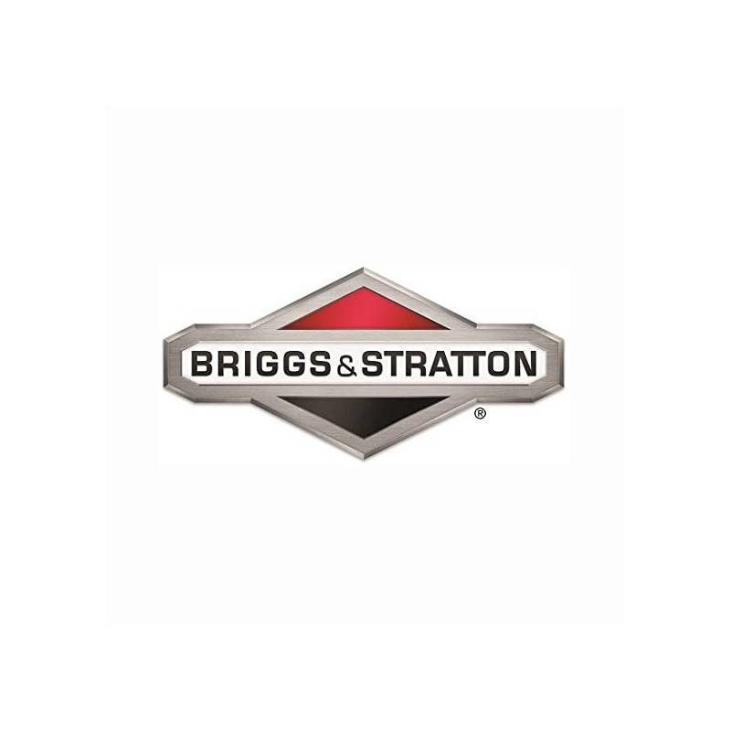 Briggs & Stratton - Cylindre Briggs et Stratton - 699505