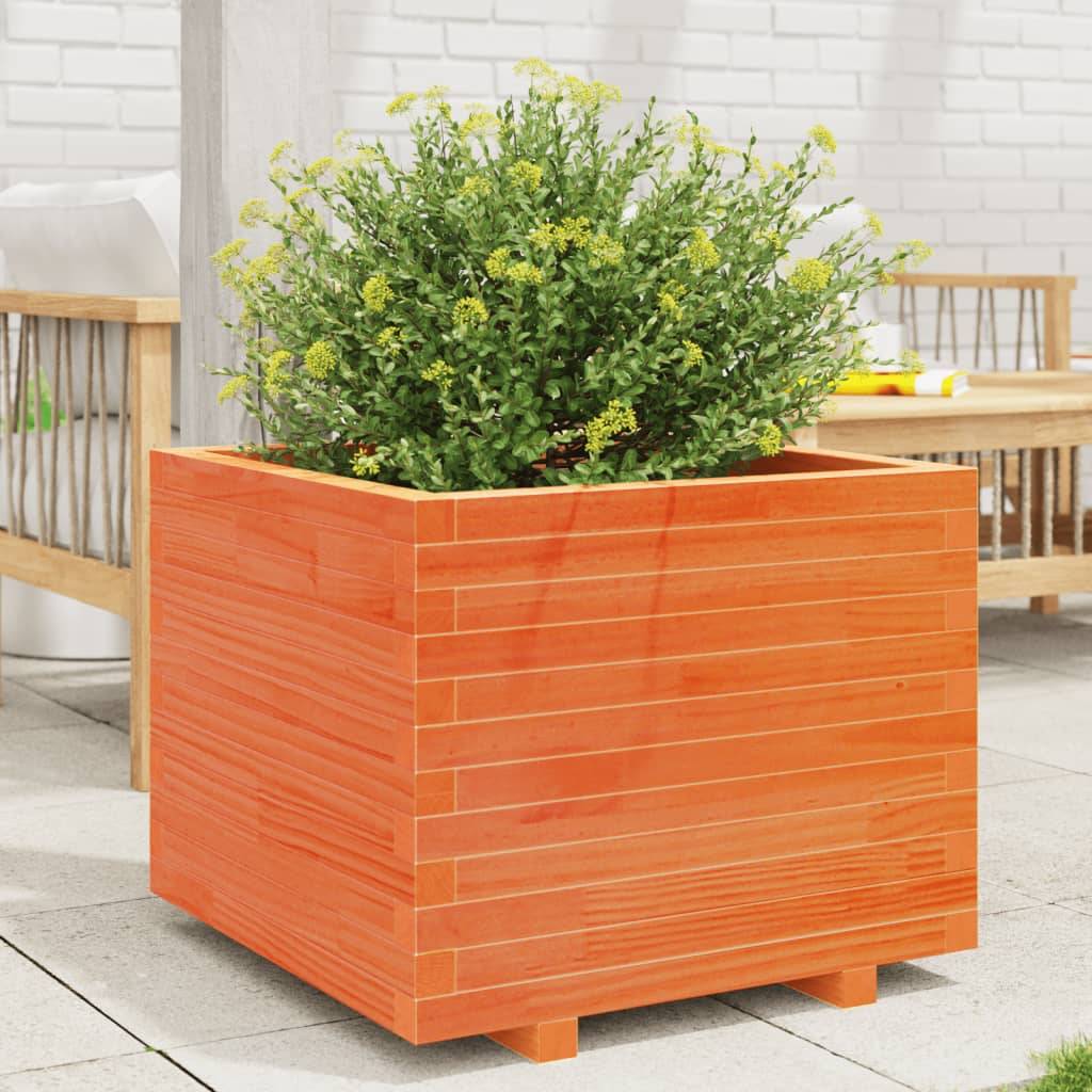Jardinière bois de pin massif cire marron 60 x 60 x 49,5 cm - PANGIVO - Image 1