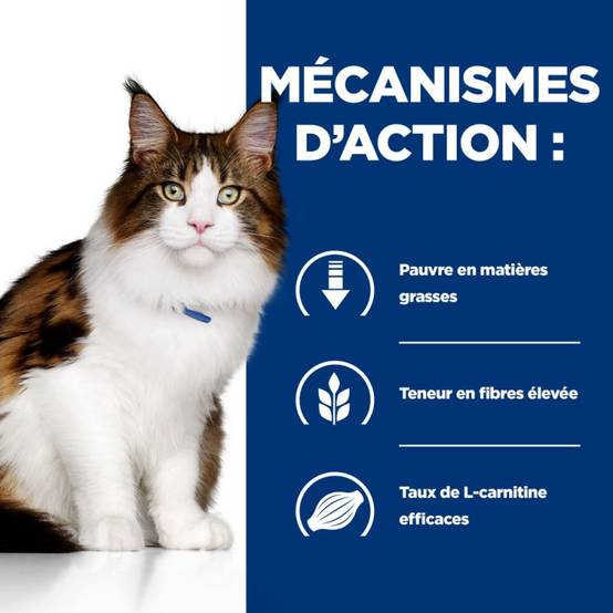 CROQUETTES CHAT ADULT PRESCRIPTION DIETS W/D MULTI BENEFIT - HILL'S 1,5 kg - Image 5
