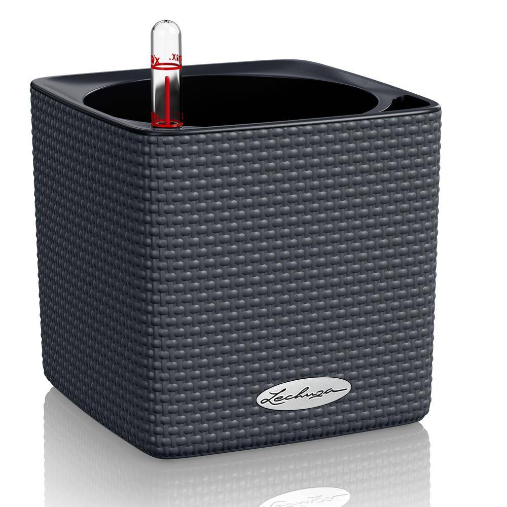 Lechuza - CUBE Color 14 - Kit Complet, gris ardoise 14 cm Lechuza - Image 1