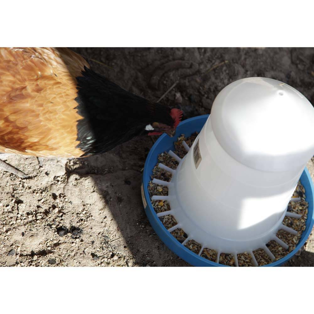 Chick'a - Nourrisseur Mountain conique bleu 5 kg - Image 4