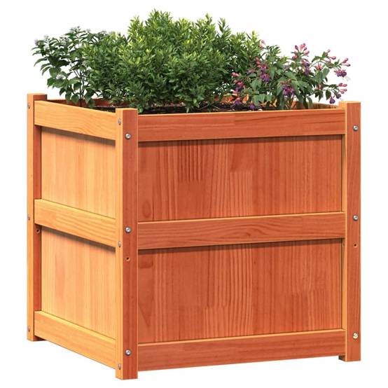 Jardinière 2 pcs cire marron bois de pin massif 60 x 60 x 60 cm - PANGIVO - Image 4