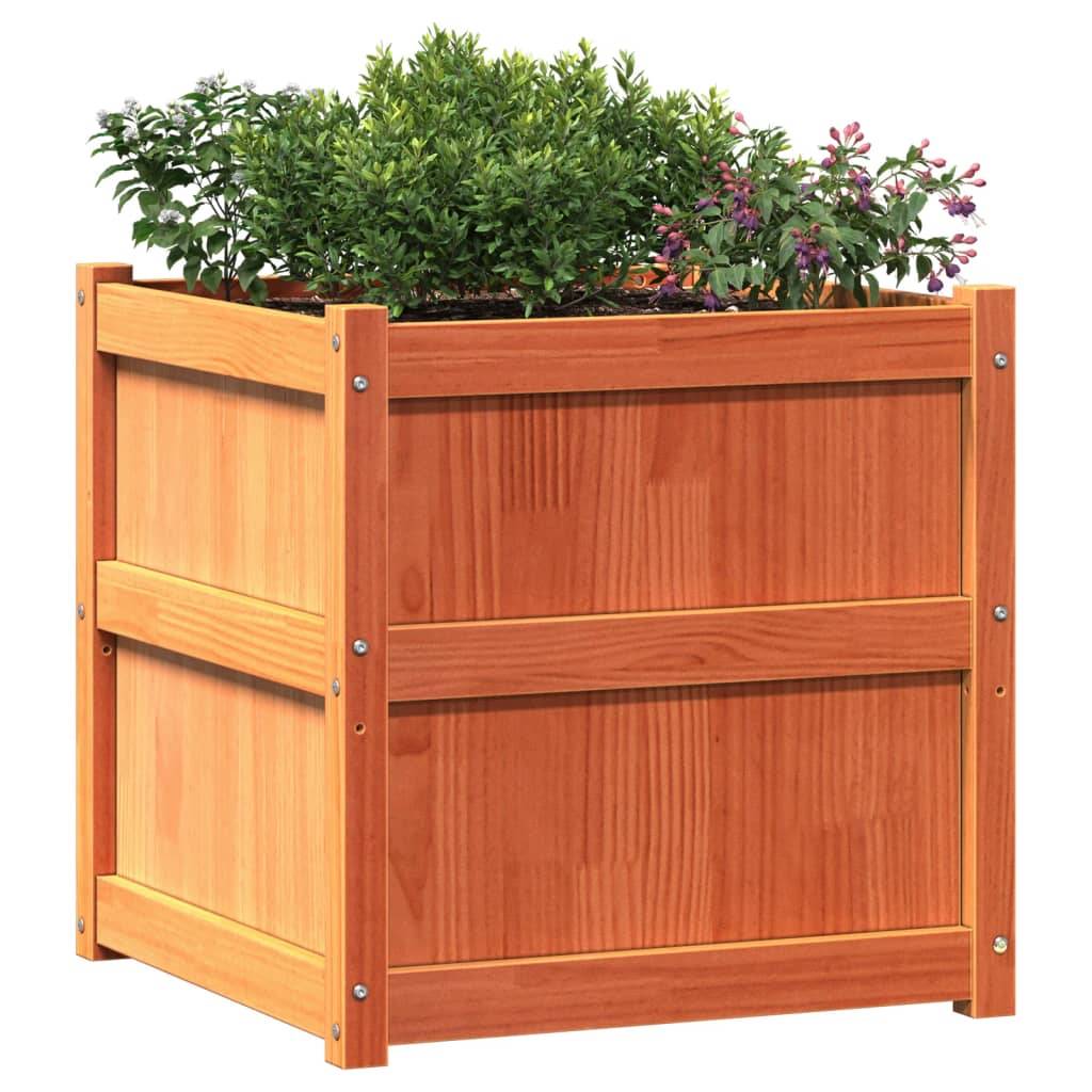 Jardinière 2 pcs cire marron bois de pin massif 60 x 60 x 60 cm - PANGIVO - Image 4