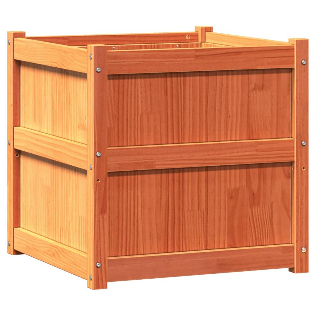 Jardinière 2 pcs cire marron bois de pin massif 60 x 60 x 60 cm - PANGIVO - Image 2