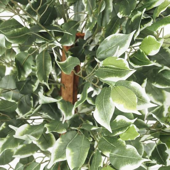 Ligne Deco - Ficus artificiel panaché 588 feuilles 120cm - Image 4