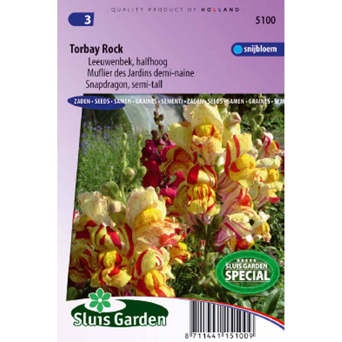Graines de Muflier nain Torbay Rock - Antirrhinum majus nanum le sachet de 950 graines environ (0,15g)