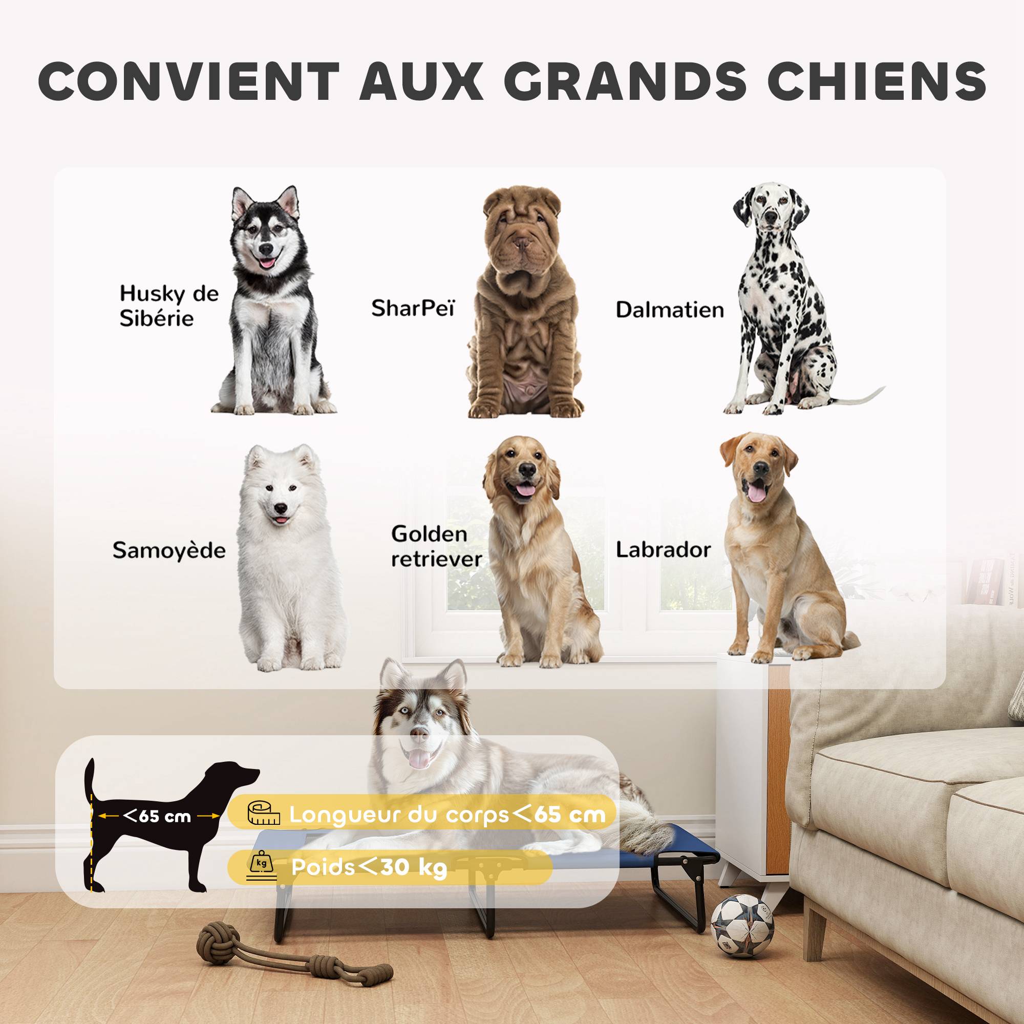 Lit surélevé pliable pour chien acier Oxford intérieur extérieur maille aérée 107cm bleu - ComfortXL Outdoor Living - Image 10