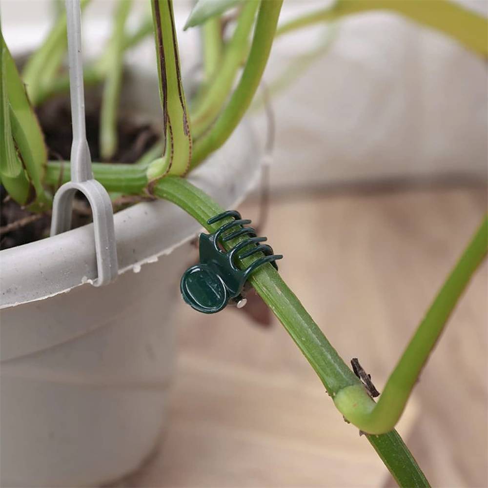 DtopbuyAge - 100 clips de support en plastique pour plantes DtopbuyAge - Image 4