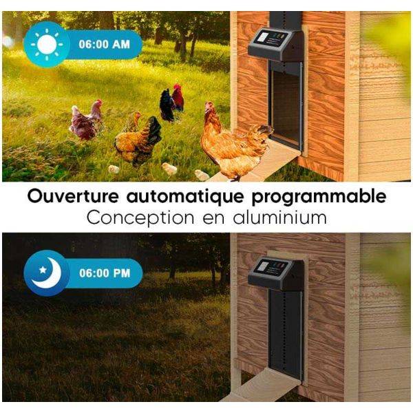 Jardindeco - Porte automatique pour poulailler JardinDeco - Image 2