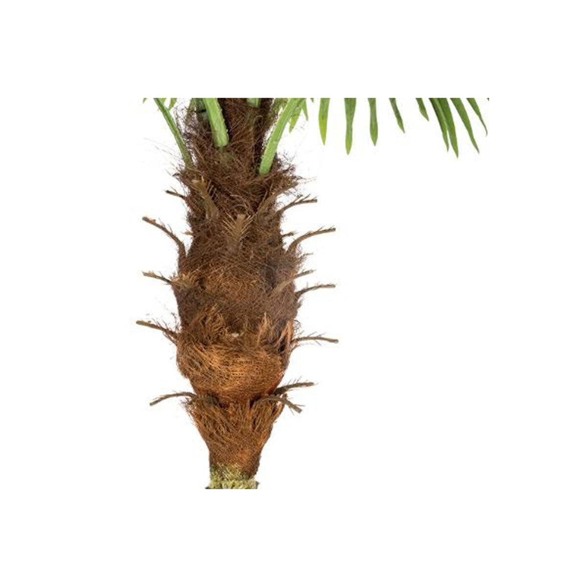 Plante Artificielle Déco "Palmier" 180cm Vert - Image 3