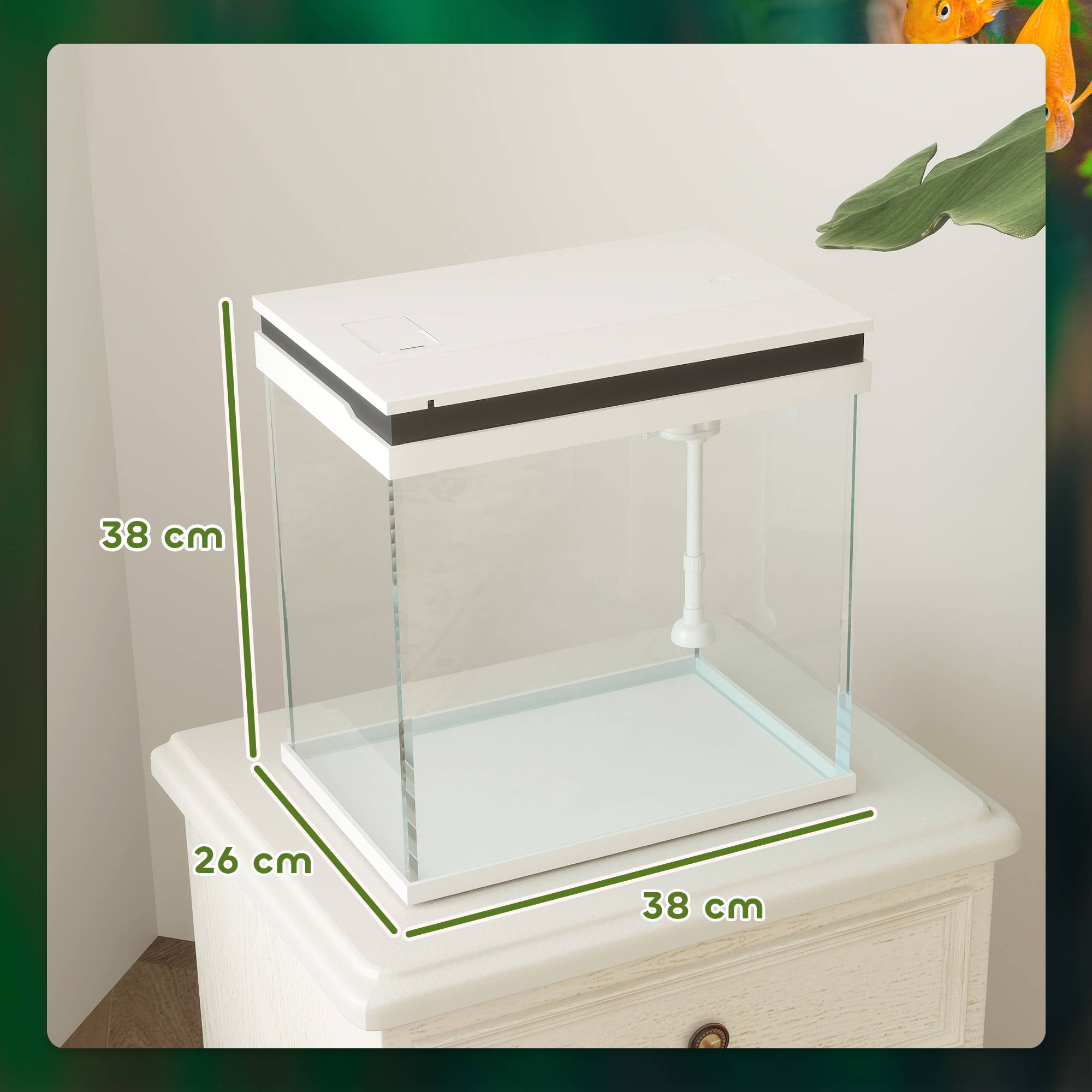 Sans Marque - Aquarium 43L en Verre Trempé avec Tapis de Protection Pour Poissons, Crevettes, Tortues, 50 x 30 x 30 cm, Transparent - Image 5
