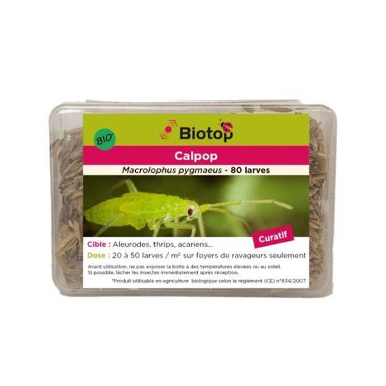 Biotop - Biotop - 80 larves Calpop - Image 1