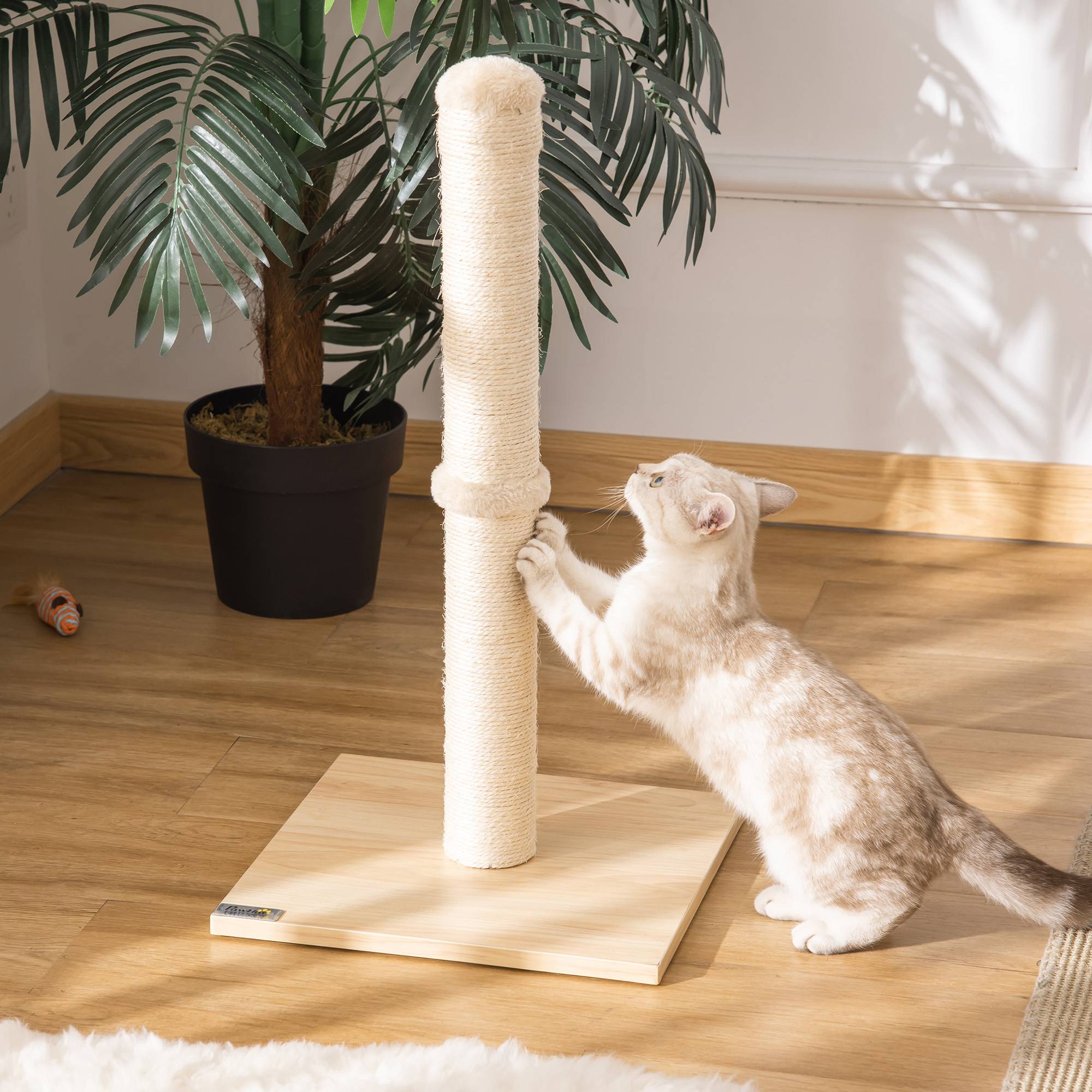 Griffoir pour chat avec poteau en sisal de 60 cm de haut et base en aggloméré, beige - Image 3