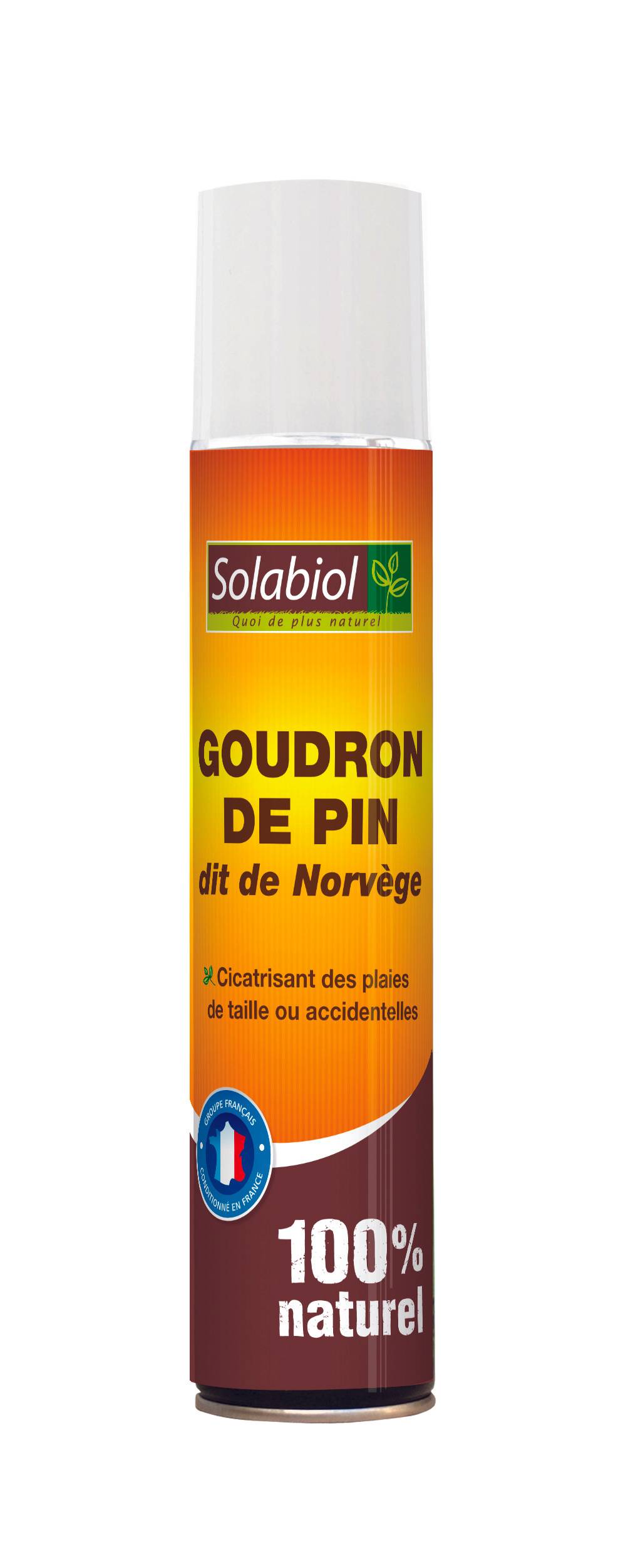Solabiol - GOUDRON DE PIN 200 ML SOL