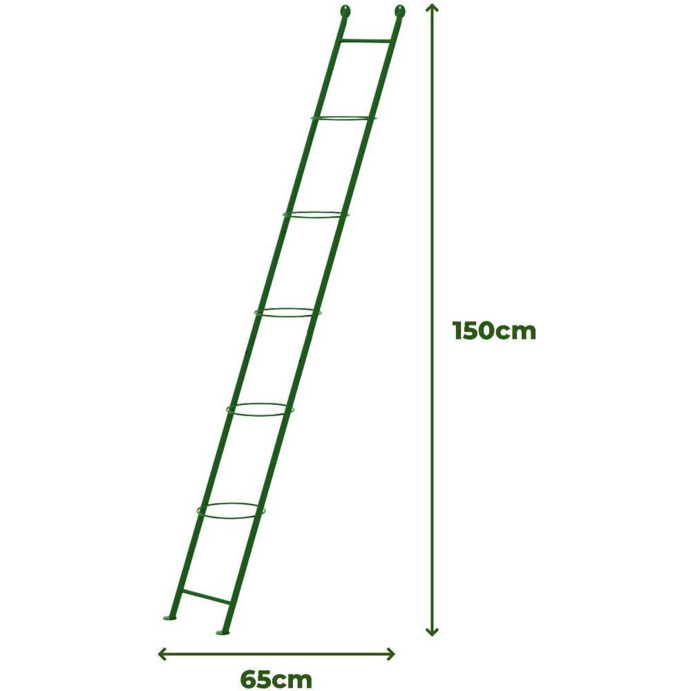 Komet - Support à plantes en acier Ladder - Image 3