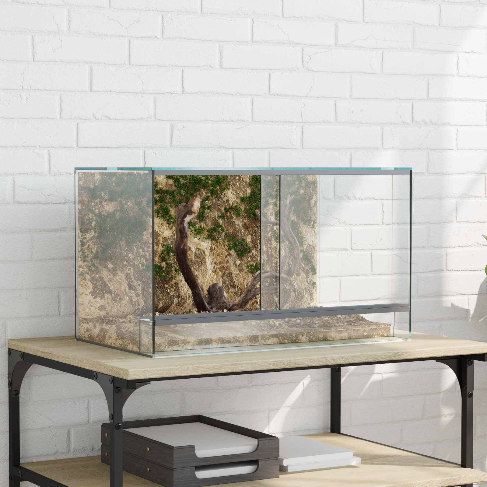 Vidaxl - Terrarium avec stockage Transparent 50 x 30 x 30 cm Verre vidaXL 42020390 - Image 1