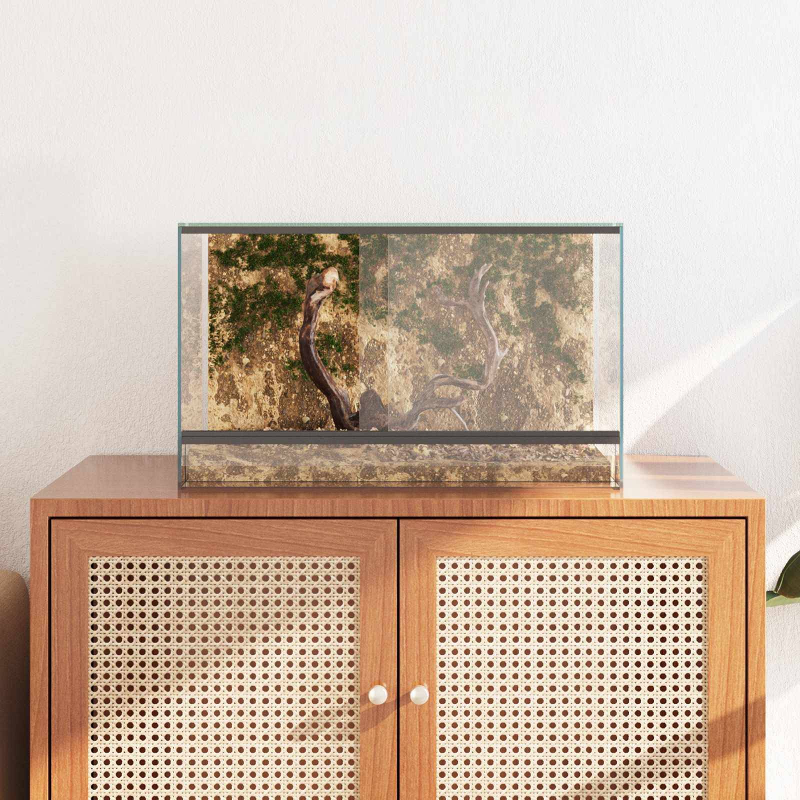 Vidaxl - Terrarium avec stockage Transparent 50 x 30 x 30 cm Verre vidaXL 42020390 - Image 5