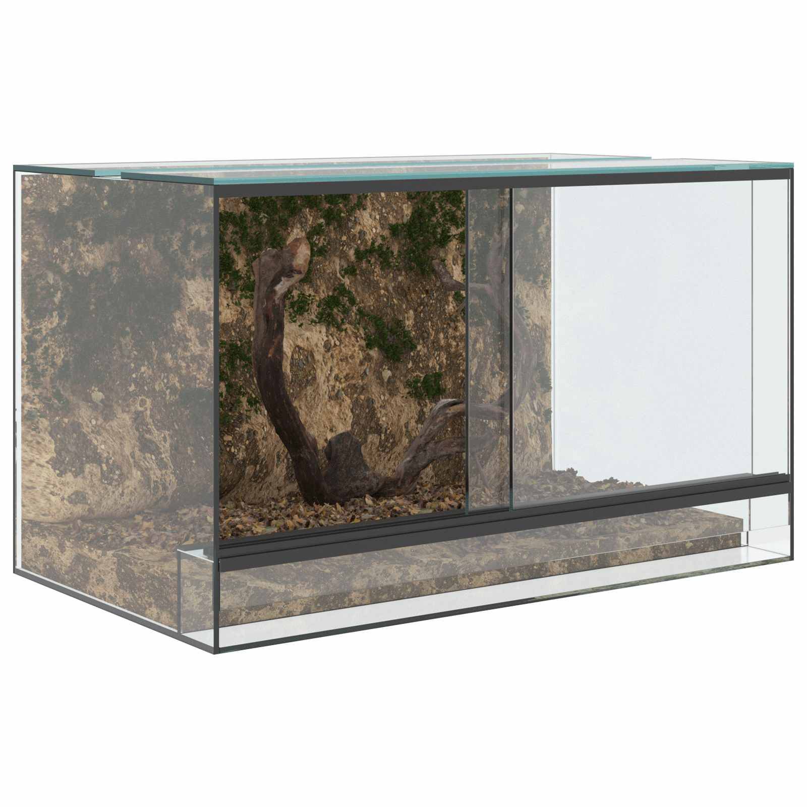 Vidaxl - Terrarium avec stockage Transparent 50 x 30 x 30 cm Verre vidaXL 42020390 - Image 4