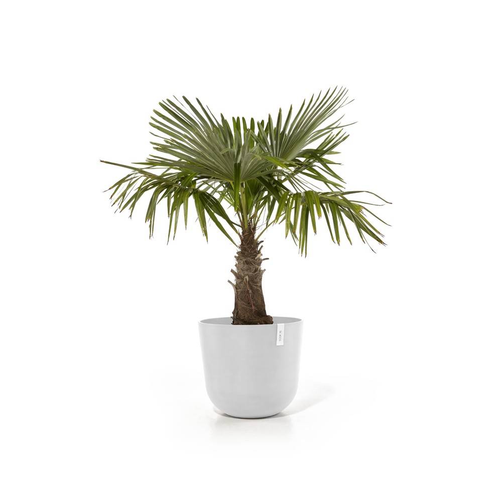 Ecopots - Pot Oslo 55 Pure White ECOPOTS - Image 2