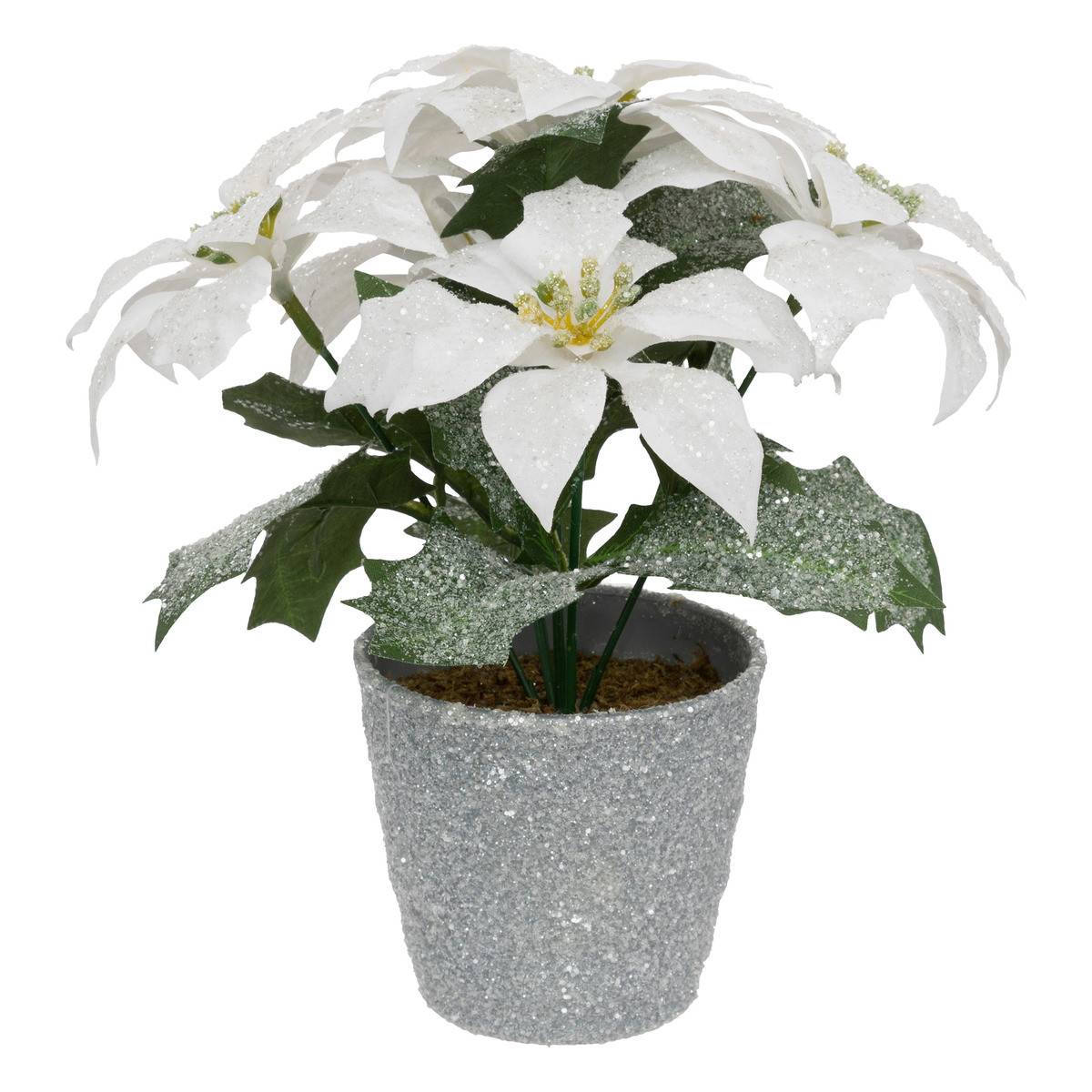 Fééric Lights & Christmas - Plante artificiel Poinsettia Étoile de Noël Blanc pailleté en pot  H 22 cm