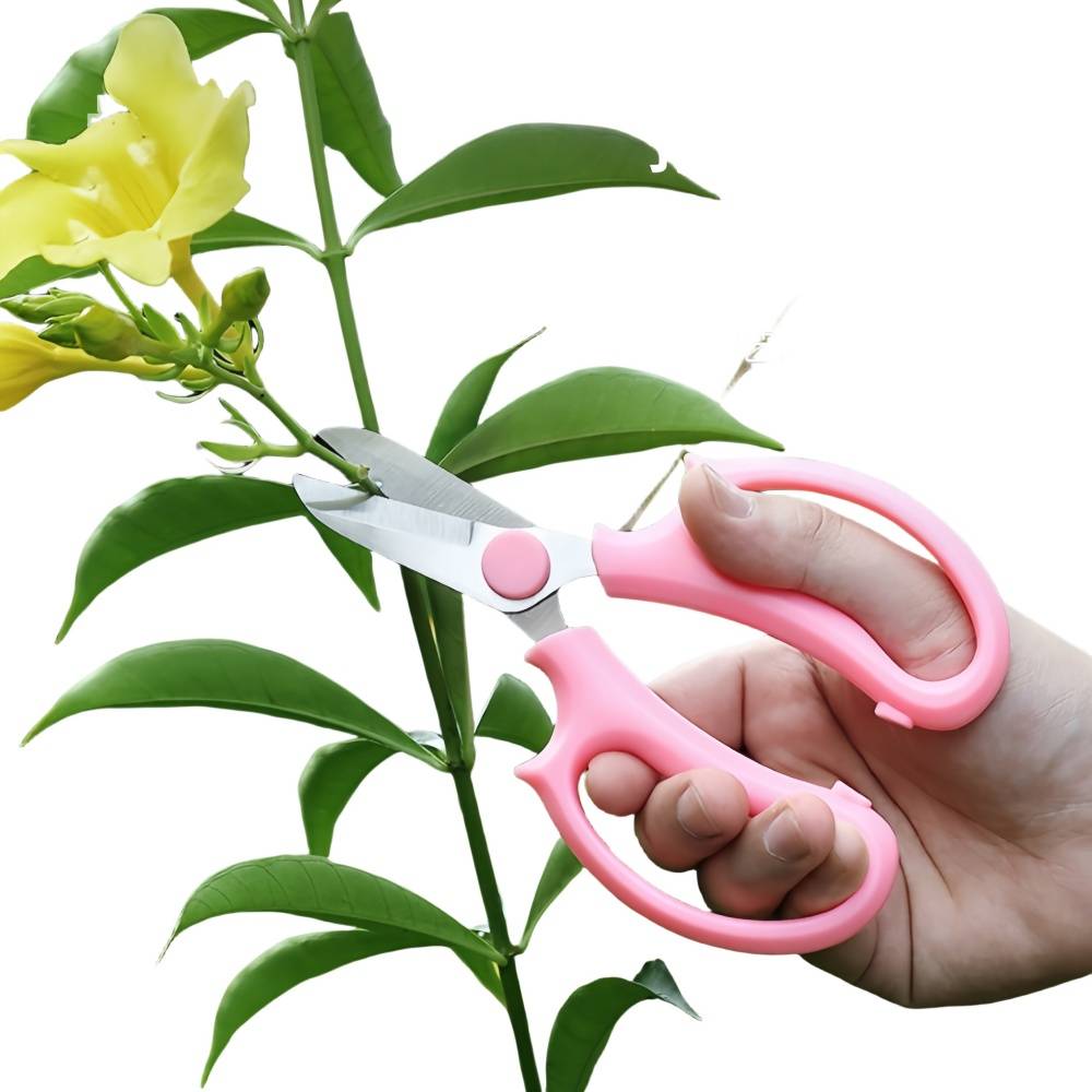 IntiMeg Ciseaux de Jardinage - Acier Inoxydable - Image 4