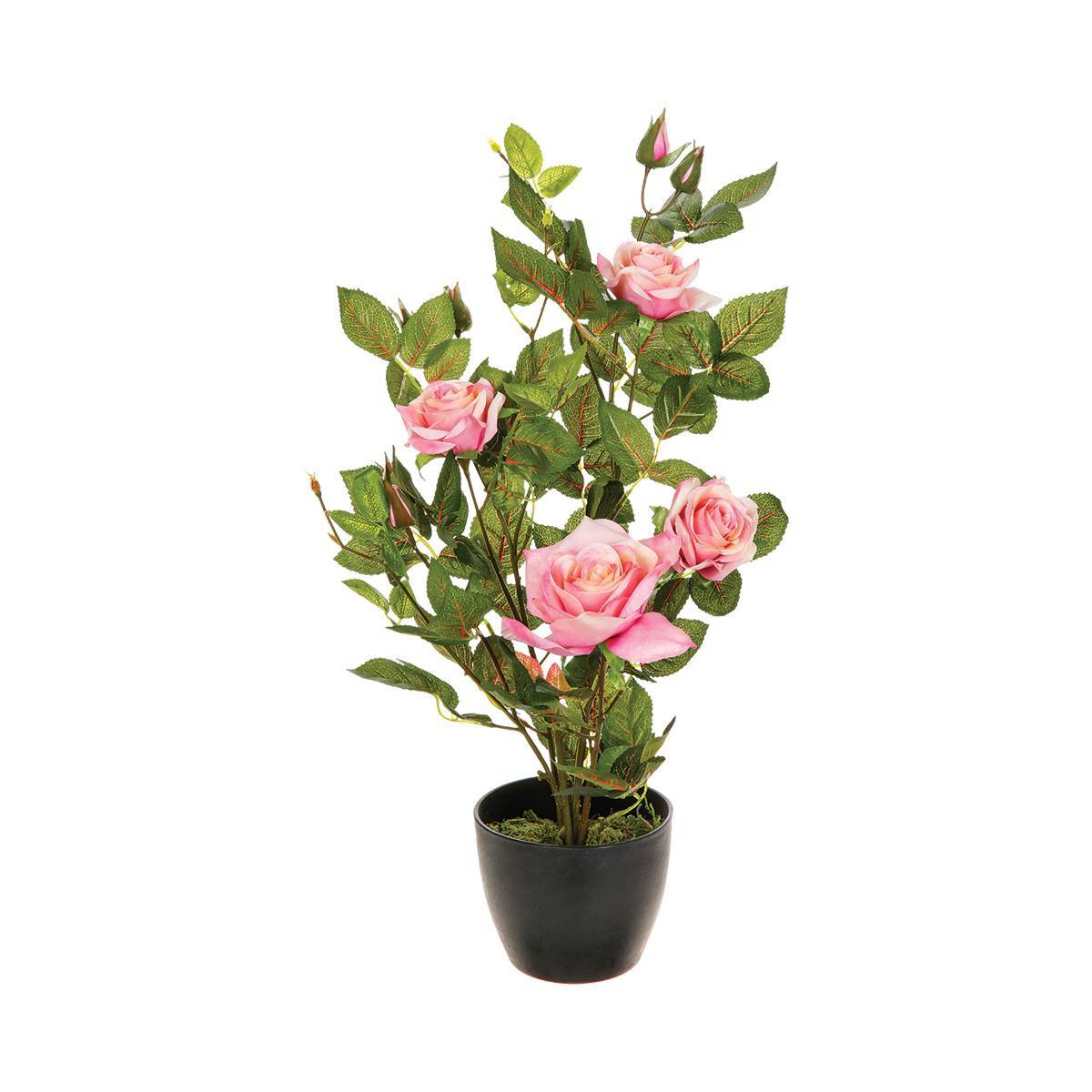 Atmosphera - Rosier artificiel pot ciment H50cm - Atmosphera Créateur d'intérieur - Image 5