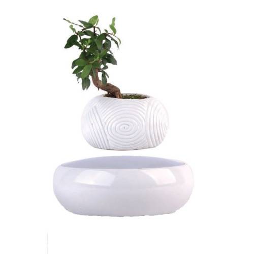 Mini-jardin en lévitation WHITE DREAM BABYLONIA MAGNETICLAND - Image 5