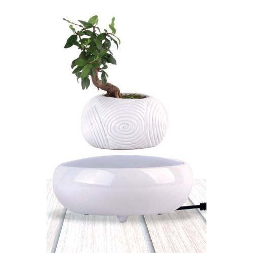 Mini-jardin en lévitation WHITE DREAM BABYLONIA MAGNETICLAND - Image 6