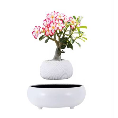 Mini-jardin en lévitation WHITE DREAM BABYLONIA MAGNETICLAND - Image 7