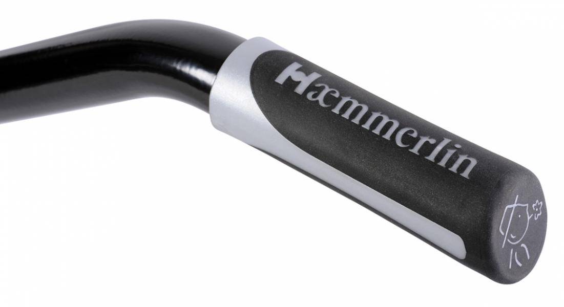 Haemmerlin - Brouette Aktiv Excellium 100 Twin peinte roue increvable Haemmerlin - Image 2