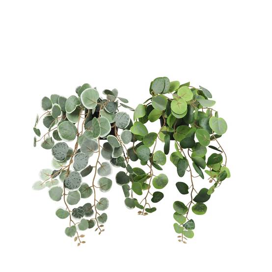 Ligne Deco - Eucalyptus artificiel retombant 40cm lot de 2 - Image 1