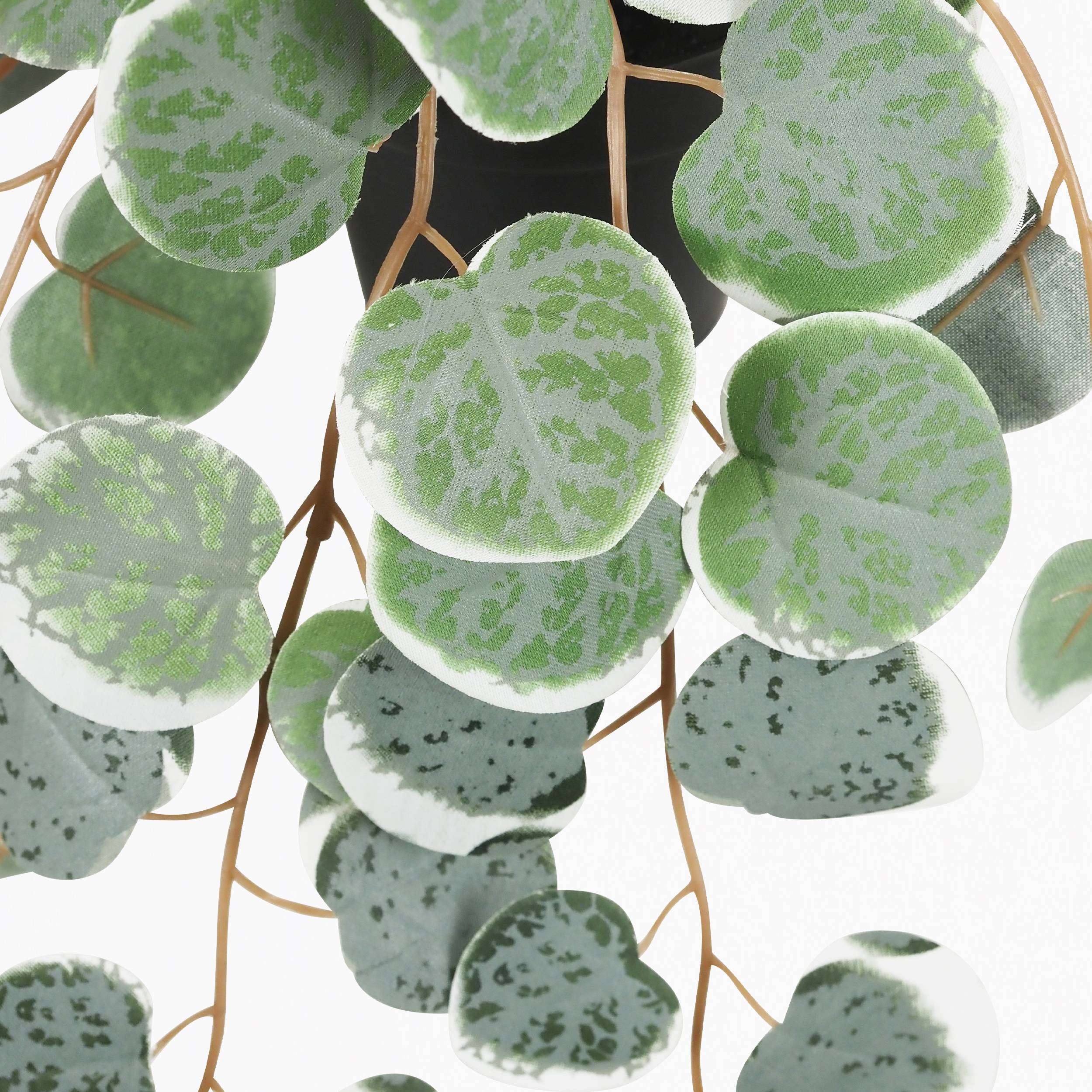 Ligne Deco - Eucalyptus artificiel retombant 40cm lot de 2 - Image 5