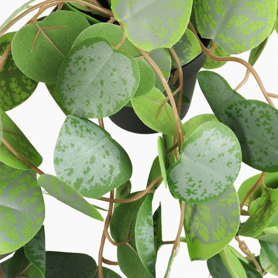 Ligne Deco - Eucalyptus artificiel retombant 40cm lot de 2 - Image 6
