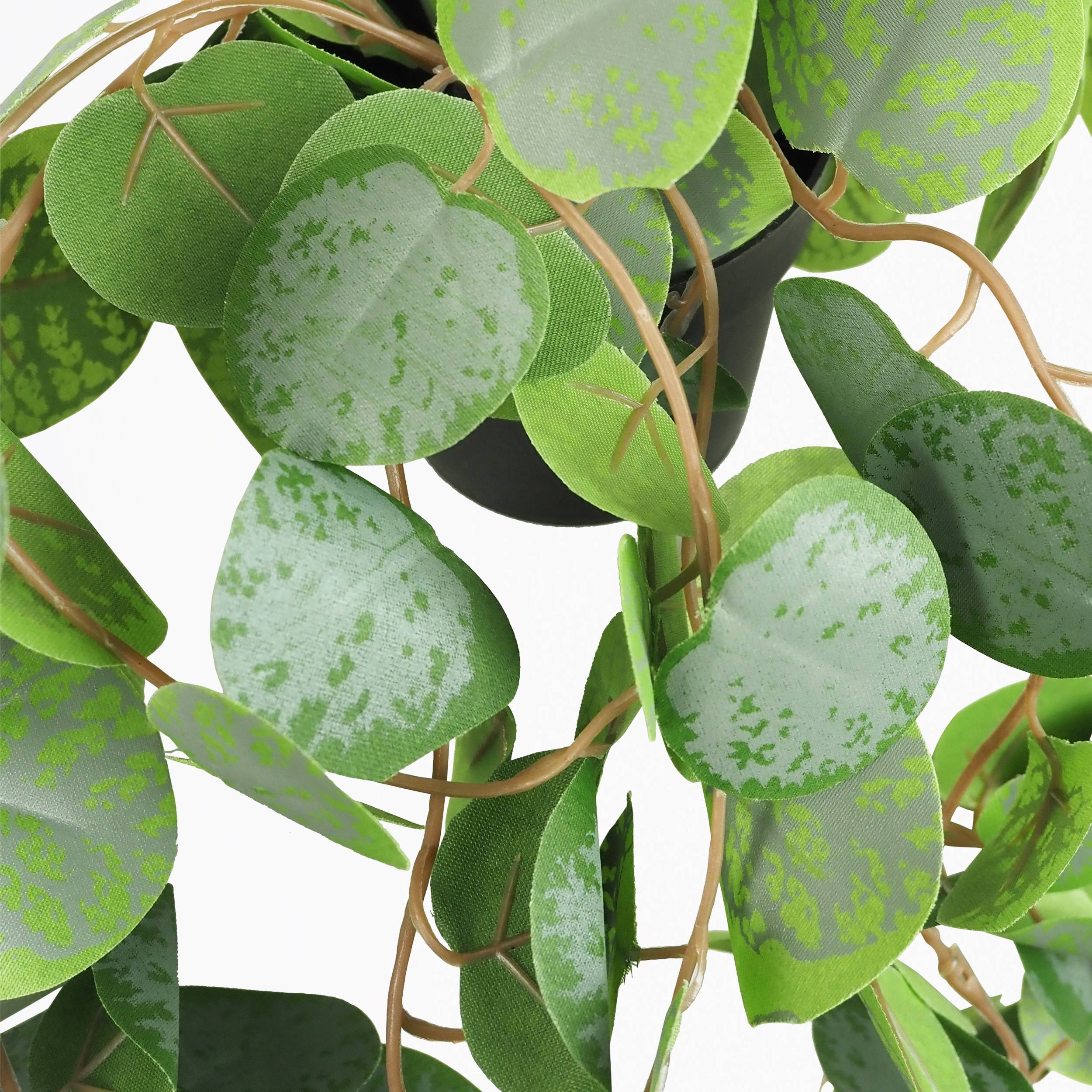 Ligne Deco - Eucalyptus artificiel retombant 40cm lot de 2 - Image 6