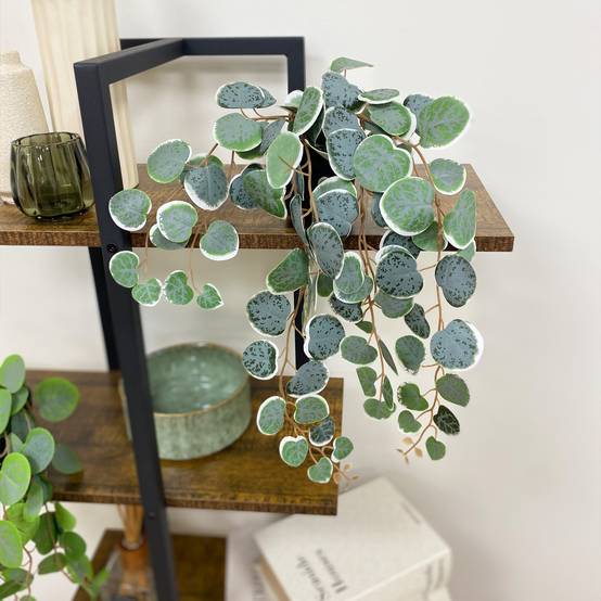Ligne Deco - Eucalyptus artificiel retombant 40cm lot de 2 - Image 3