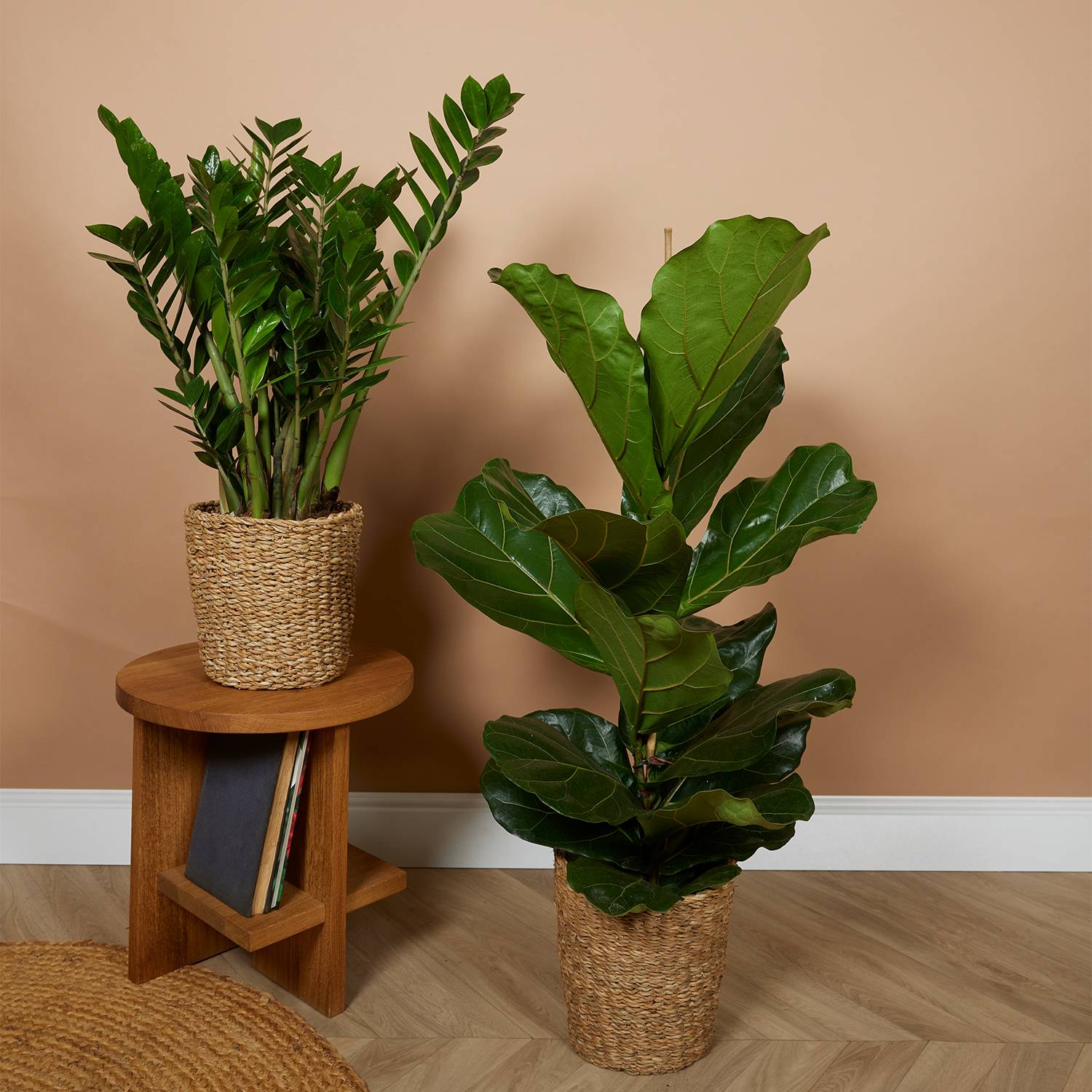 P. à Plantes Tressé Coco - Lot de 2 Pots - Beige - Jonc de Mer - Panier pour Plantes - Image 2