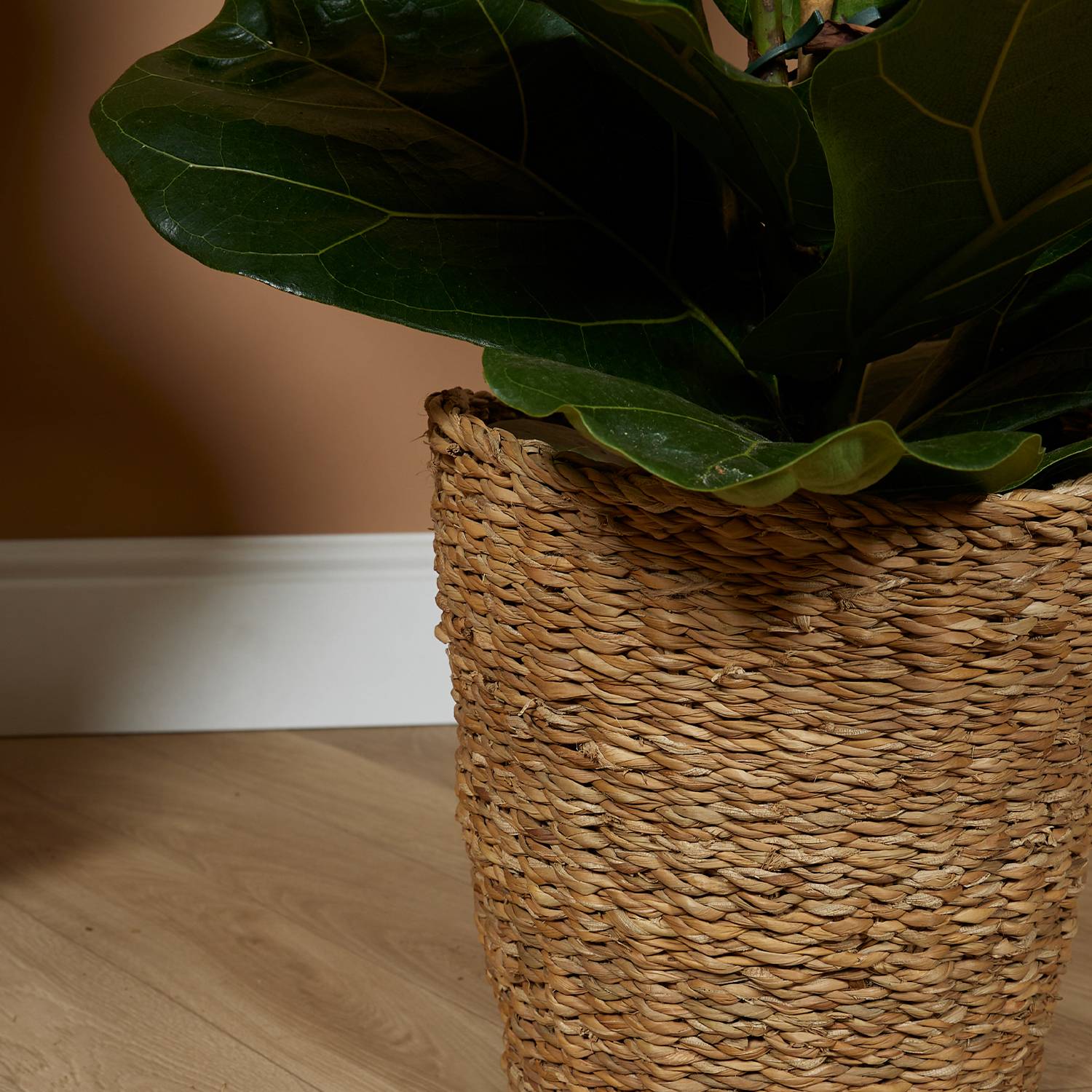 P. à Plantes Tressé Coco - Lot de 2 Pots - Beige - Jonc de Mer - Panier pour Plantes - Image 4