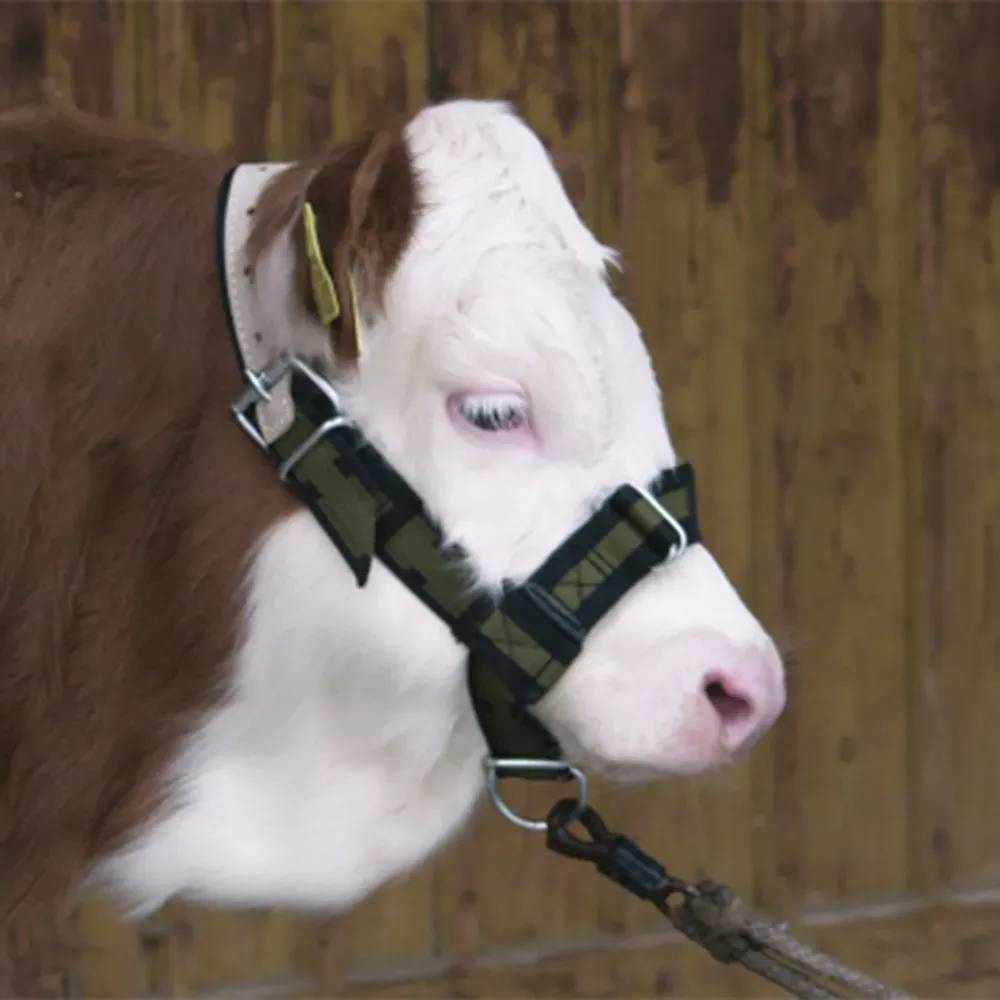 Licol pour veau réglable - Image 1