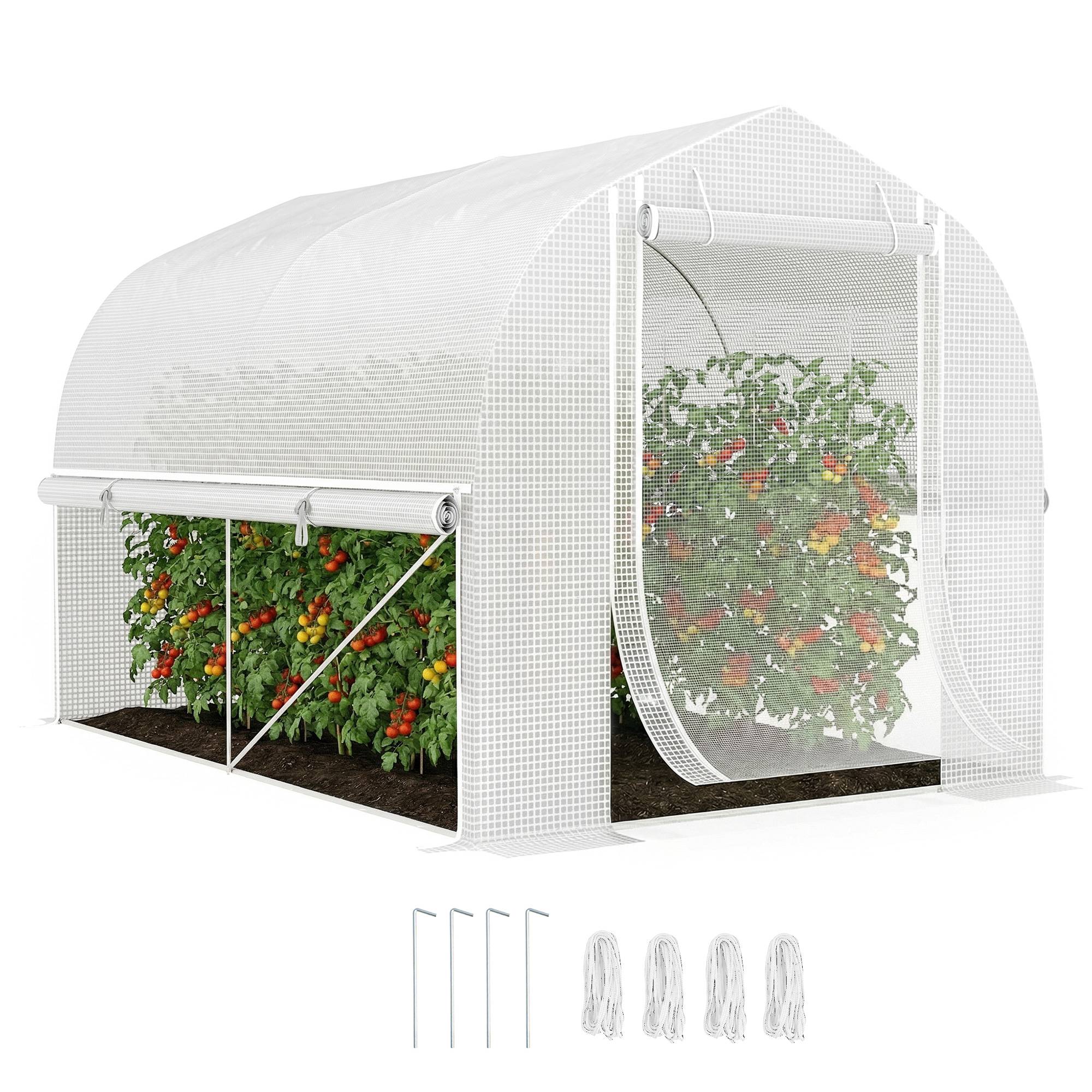 Serre tunnel blanche 3x2x2m anti-UV, structure acier rigide, parois latérales enroulables résistantes
