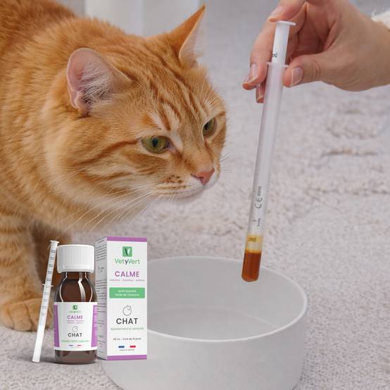 Complément alimentaire vétérinaire - Calme (anti-stress) chat 50 mL - VetyVert - Image 2