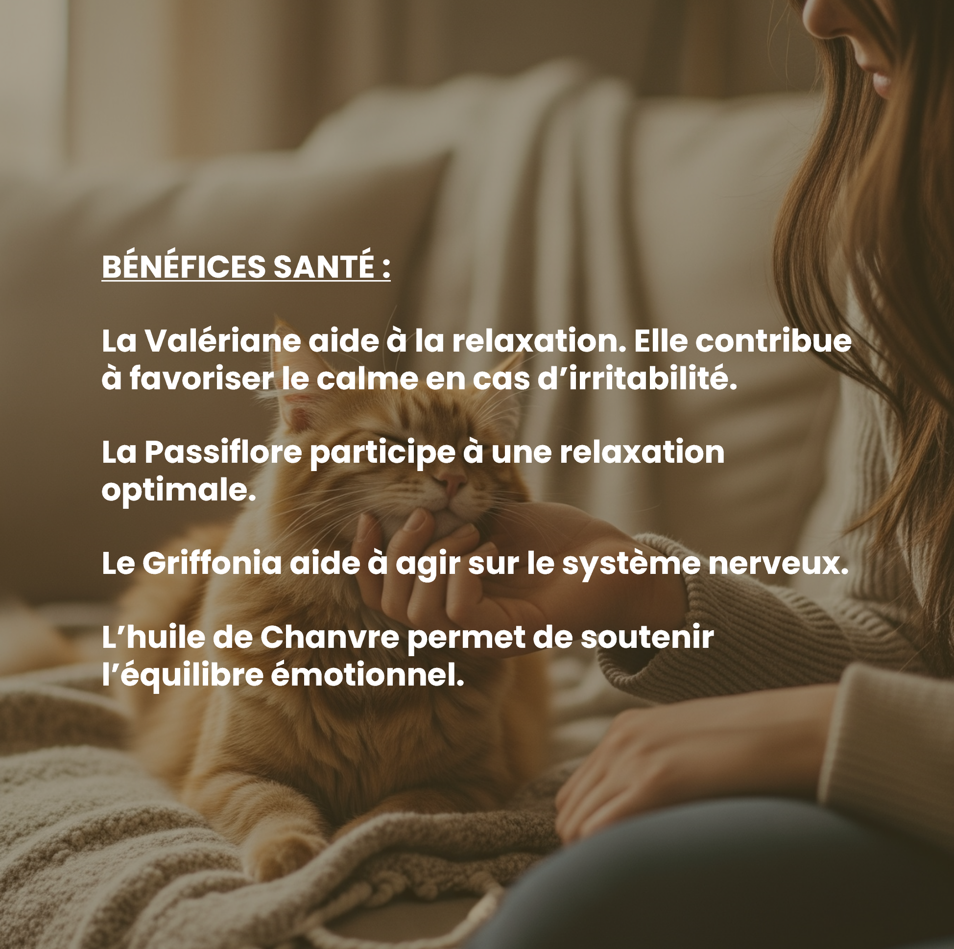 Complément alimentaire vétérinaire - Calme (anti-stress) chat 50 mL - VetyVert - Image 4