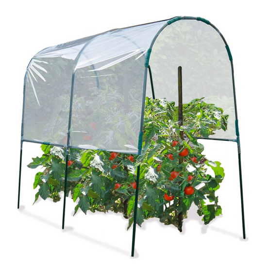 Serre à tomates de jardin 200 x 120 x 170 cm avec bâche transparente + arceaux en acier - Image 3